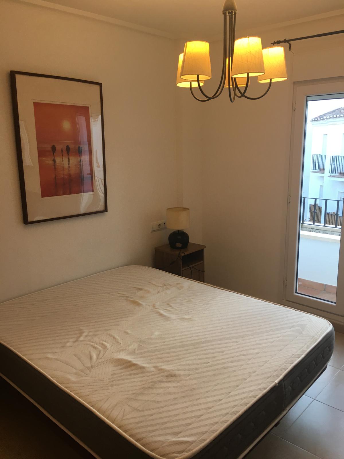 50018_WhatsApp Image 2024-11-28 at 17.23.54 (1).jpeg